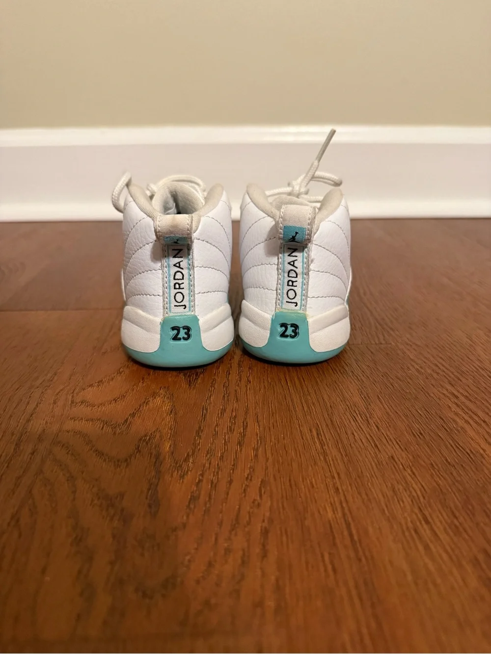 Air Jordan 12 Retro TD 